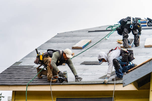Professional Gutter Installation technician working in Ellijay, GA